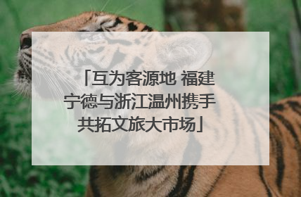 互为客源地 福建宁德与浙江温州携手共拓文旅大市场