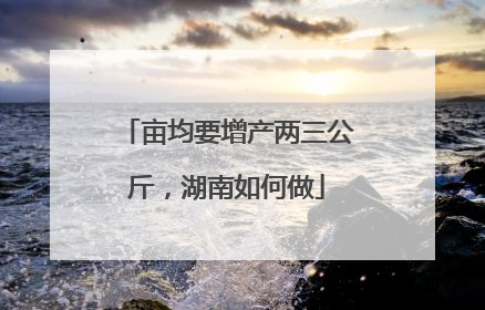 亩均要增产两三公斤，湖南如何做