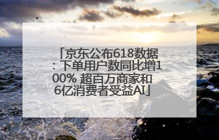 京东公布618数据：下单用户数同比增100% 超百万商家和6亿消费者受益AI