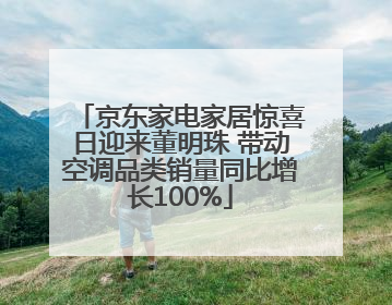 京东家电家居惊喜日迎来董明珠 带动空调品类销量同比增长100%