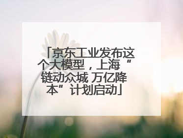 京东工业发布这个大模型，上海“链动众城 万亿降本”计划启动