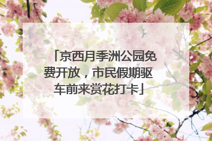 京西月季洲公园免费开放，市民假期驱车前来赏花打卡