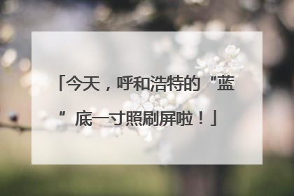 今天，呼和浩特的“蓝”底一寸照刷屏啦！