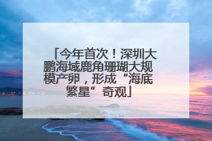 今年首次！深圳大鹏海域鹿角珊瑚大规模产卵，形成“海底繁星”奇观