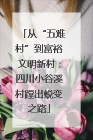 从“五难村”到富裕文明新村：四川小谷溪村蹚出蜕变之路