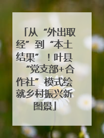 从“外出取经”到“本土结果”！叶县“党支部+合作社”模式绘就乡村振兴新图景