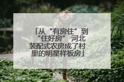 从“有房住”到“住好房” 河北装配式农房成了村里的明星样板房