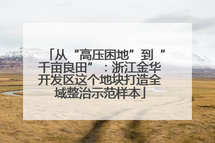 从“高压困地”到“千亩良田”：浙江金华开发区这个地块打造全域整治示范样本