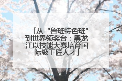 从“鲁班特色班”到世界领奖台：黑龙江以技能大赛培育国际级工匠人才