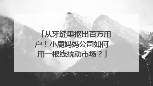 从牙缝里抠出百万用户！小鹿妈妈公司如何用一根线撬动市场？