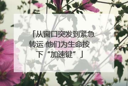 从窗口突发到紧急转运 他们为生命按下“加速键”