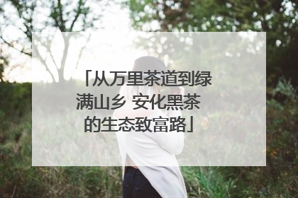 从万里茶道到绿满山乡 安化黑茶的生态致富路