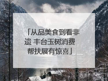 从品美食到看非遗 丰台玉树消费帮扶展有惊喜