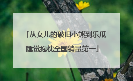 从女儿的破旧小熊到乐瓜睡觉抱枕全国销量第一