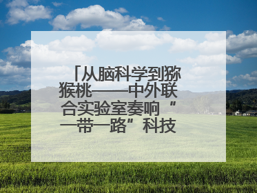 从脑科学到猕猴桃——中外联合实验室奏响“一带一路”科技合作交响曲