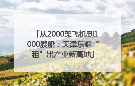 从2000架飞机到1000艘船：天津东疆“租”出产业新高地