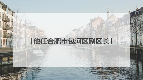 他任合肥市包河区副区长