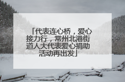 代表连心桥，爱心接力行，常州北港街道人大代表爱心捐助活动再出发