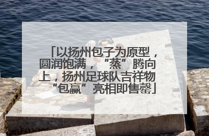 以扬州包子为原型，圆润饱满，“蒸”腾向上，扬州足球队吉祥物“包赢”亮相即售罄