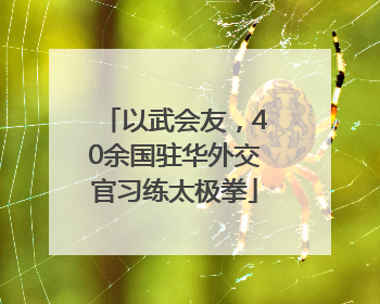 以武会友，40余国驻华外交官习练太极拳
