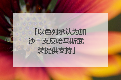 以色列承认为加沙一支反哈马斯武装提供支持