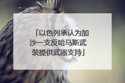 以色列承认为加沙一支反哈马斯武装提供武器支持