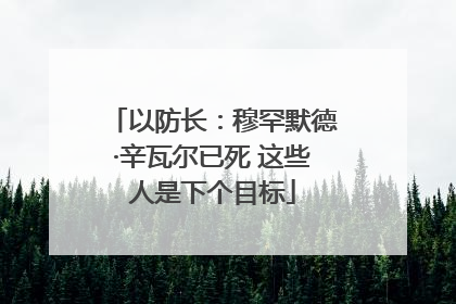 以防长：穆罕默德·辛瓦尔已死 这些人是下个目标
