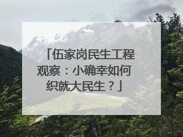 伍家岗民生工程观察：小确幸如何织就大民生？
