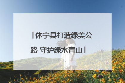 休宁县打造绿美公路 守护绿水青山