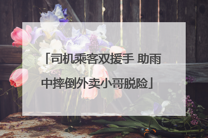 司机乘客双援手 助雨中摔倒外卖小哥脱险