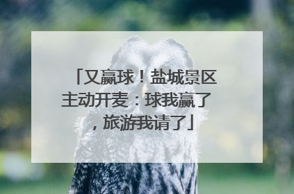 又赢球！盐城景区主动开麦：球我赢了，旅游我请了
