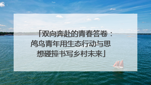 双向奔赴的青春答卷：鸬鸟青年用生态行动与思想碰撞书写乡村未来