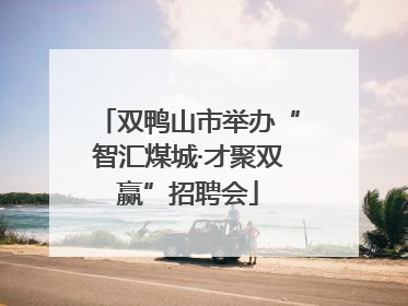 双鸭山市举办“智汇煤城·才聚双赢”招聘会