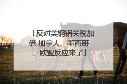 反对美钢铝关税加倍 加拿大、墨西哥、欧盟反应来了