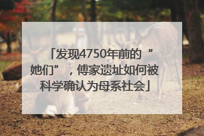 发现4750年前的“她们”，傅家遗址如何被科学确认为母系社会