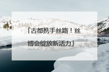 古都携手丝路！丝博会绽放新活力