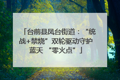 台前县凤台街道：“统战+禁烧”双轮驱动守护蓝天 “零火点”