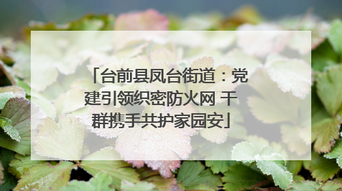 台前县凤台街道：党建引领织密防火网 干群携手共护家园安