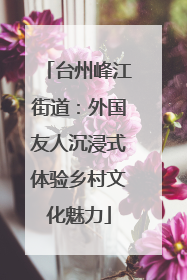 台州峰江街道：外国友人沉浸式体验乡村文化魅力