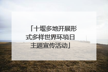 十堰多地开展形式多样世界环境日主题宣传活动