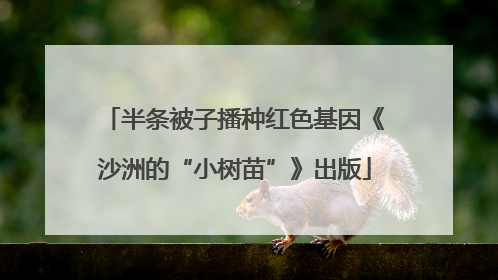 半条被子播种红色基因《沙洲的“小树苗”》出版