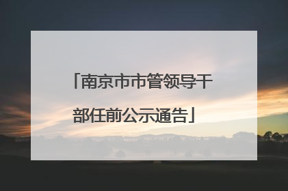 南京市市管领导干部任前公示通告