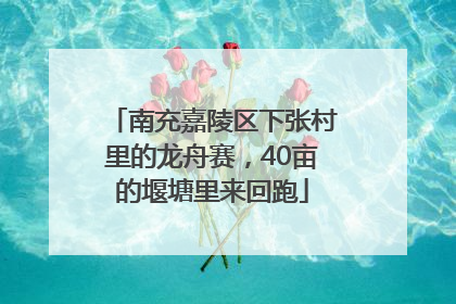 南充嘉陵区下张村里的龙舟赛，40亩的堰塘里来回跑