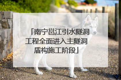 南宁邕江引水隧洞工程全面进入主隧洞盾构施工阶段