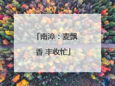 南漳：麦飘香 丰收忙