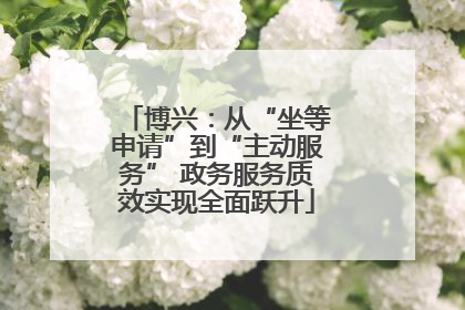 博兴：从“坐等申请”到“主动服务” 政务服务质效实现全面跃升