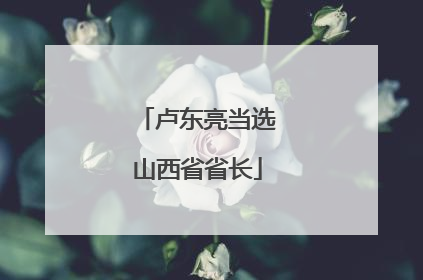 卢东亮当选山西省省长