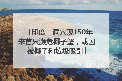 印度一洞穴现150年来首只濒危椰子蟹，或因被椰子和垃圾吸引