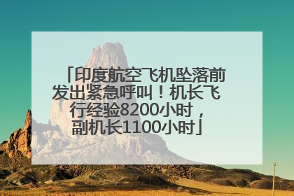 印度航空飞机坠落前发出紧急呼叫！机长飞行经验8200小时，副机长1100小时