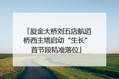 厦金大桥刘五店航道桥西主塔启动“生长” 首节段精准落位